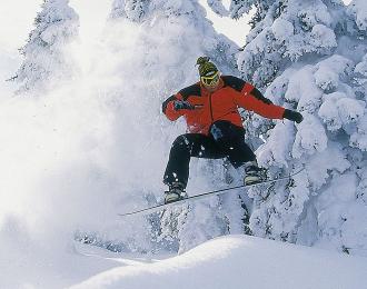 boarder.jpg