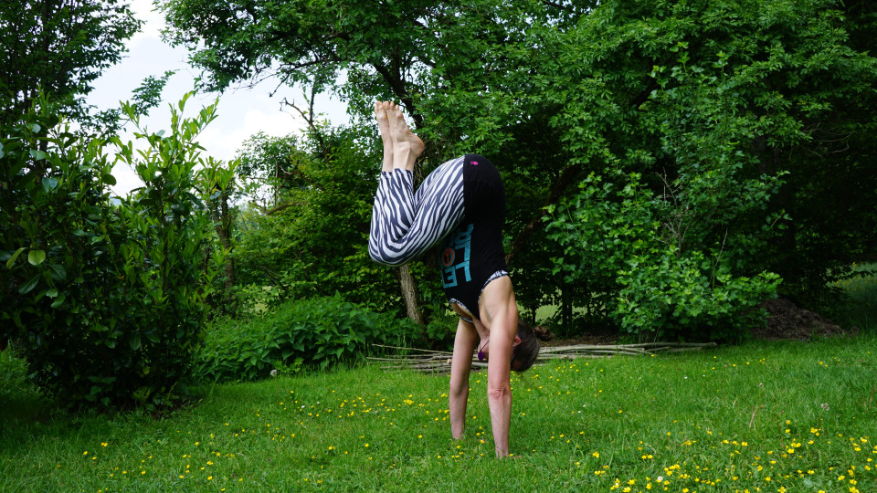 Tuck Jumps: Aus dem Hund heranlaufen und mit beiden Füßen Gleichzeitig hochspringen und die Knie zum Brustkorb ziehen. Die Bewegung geht aufwärts (Blick zurück), um nicht nach vorne über die Hände zu fallen. Die Arme kraftvoll gestreckt lassen.